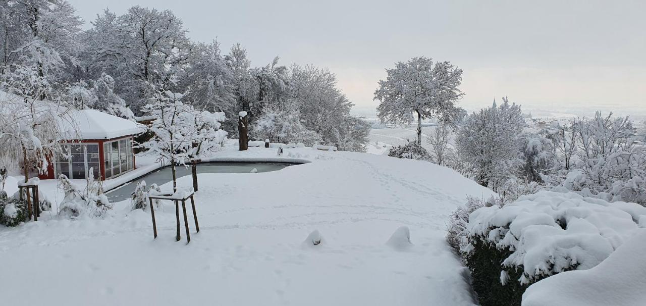 Paradies 1 Döttingen Zewnętrze zdjęcie