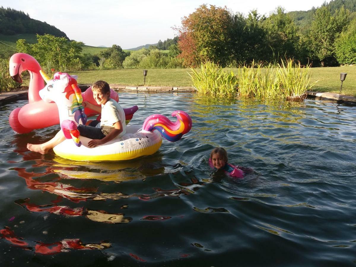 Paradies 1 Döttingen Zewnętrze zdjęcie